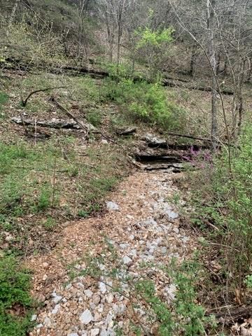 2313 Flat Creek Road — photo 17