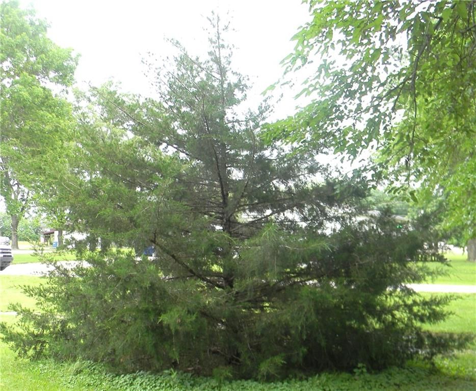 504 N Locust Street — photo 13