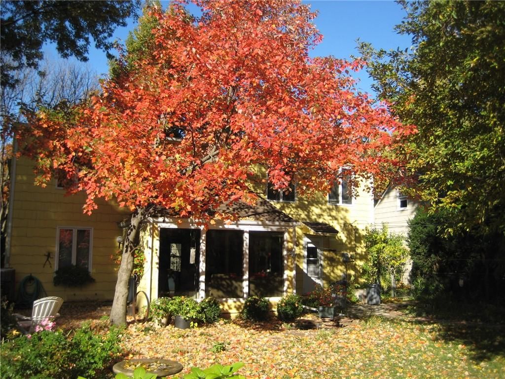 Photo 6 of 36 - 5535 Canterbury Road