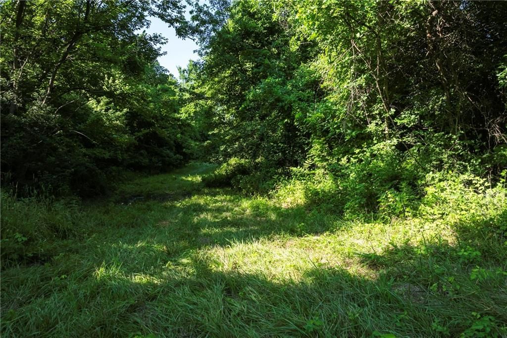 Photo 11 of 16 - 33804 E Pink Hill Rd, Tract D N/A
