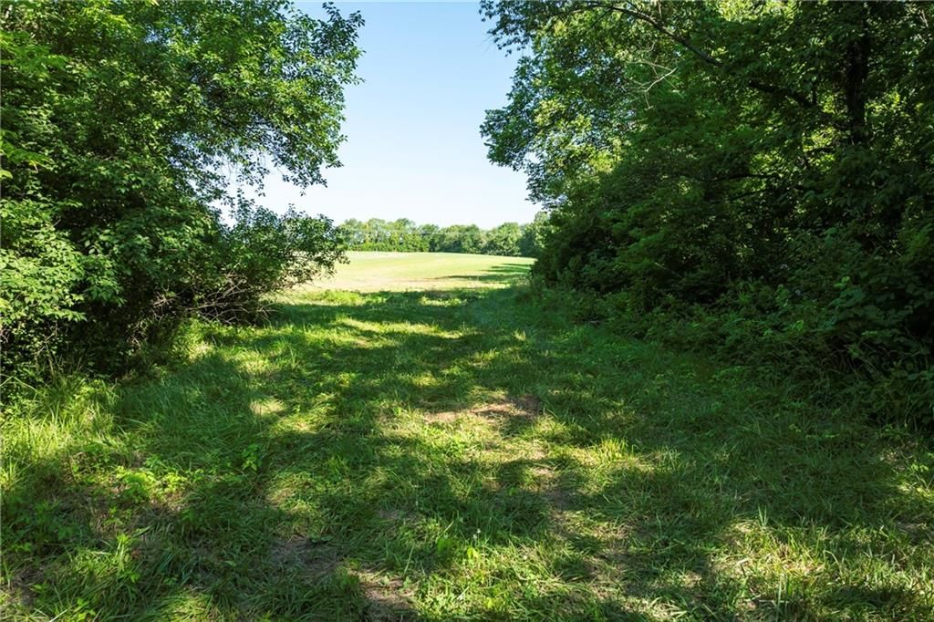 Photo 12 of 16 - 33804 E Pink Hill Rd, Tract D N/A
