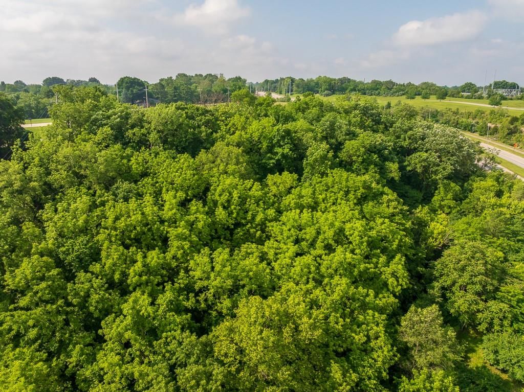 10401 View High Drive — photo 6