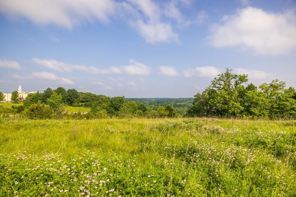 10401 View High Drive — photo 29