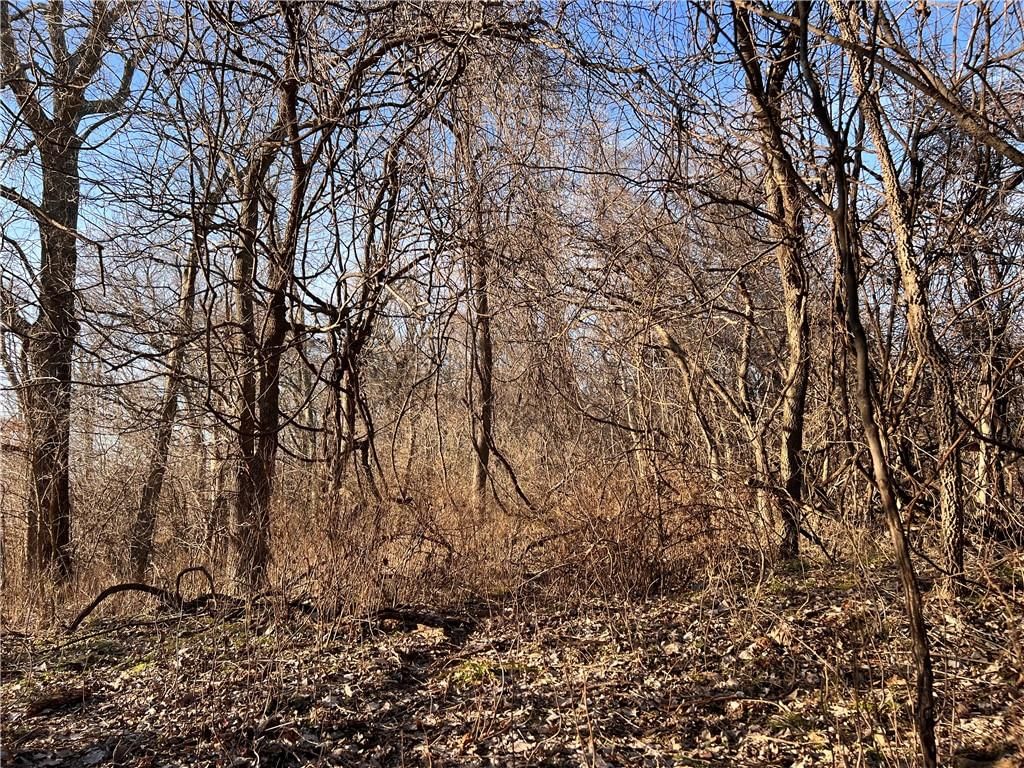 S 10th Street — photo 27