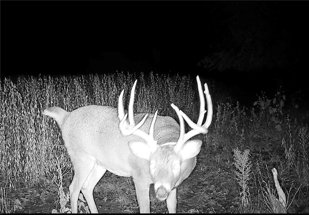 0000 92 Highway, McLouth, KS
