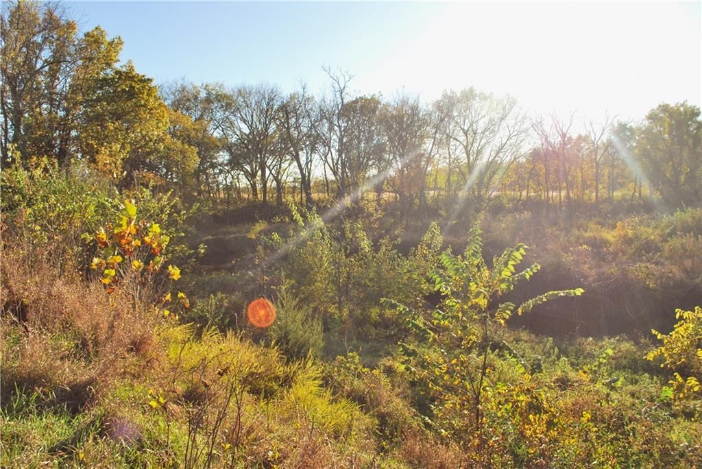 0000 92 Highway — photo 39