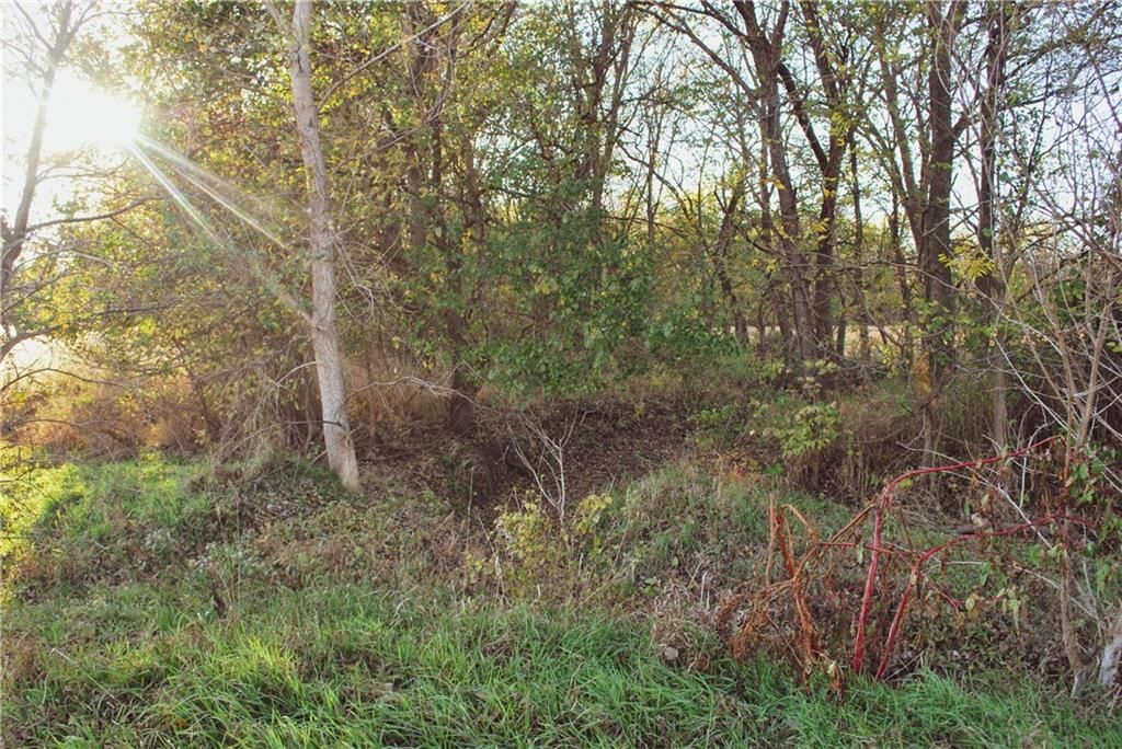 0000 92 Highway — photo 45