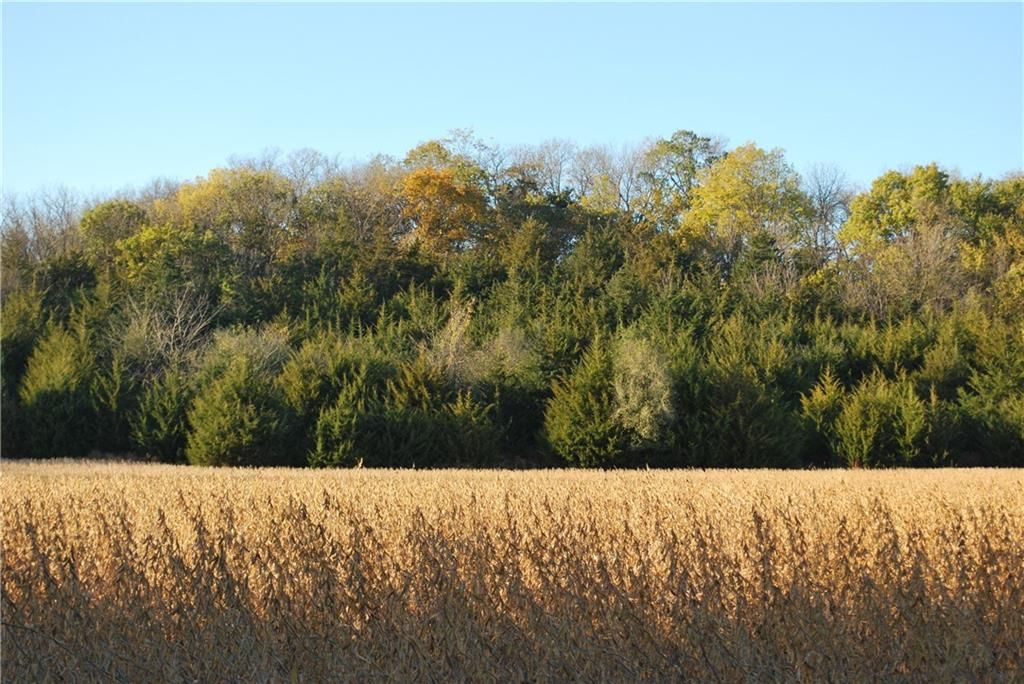 0000 92 Highway — photo 47