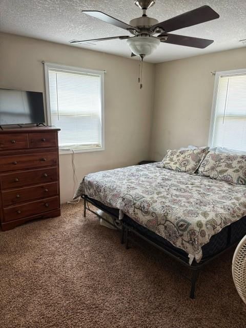 243 Mallard Lane — photo 12