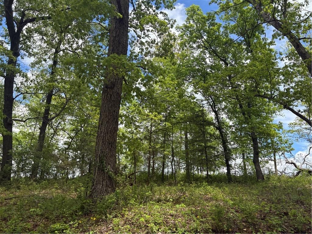 41 Hwy K Highway — photo 4