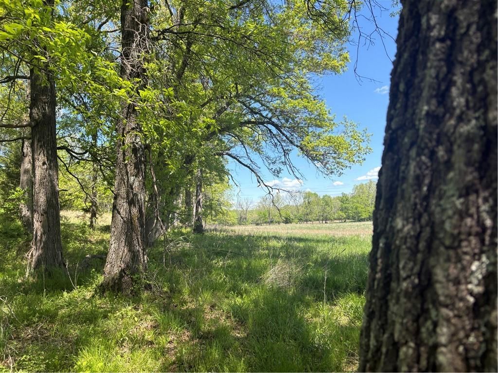 Hwy K Highway — photo 9
