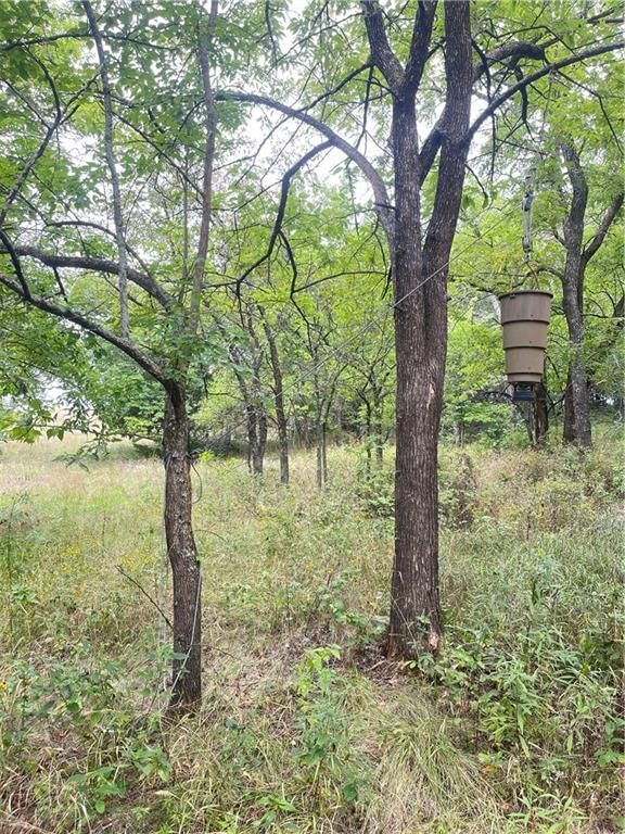 4750 labette Terrace — photo 3