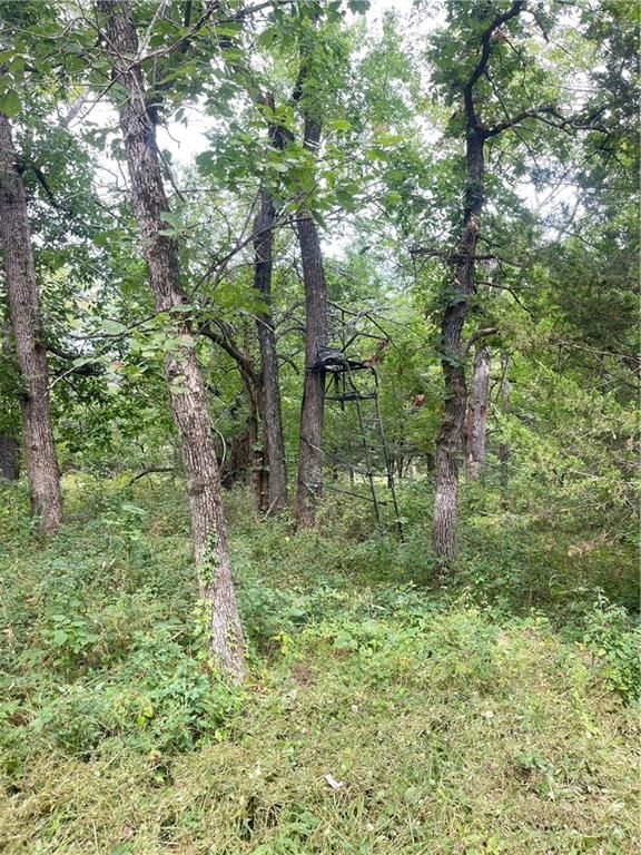 4750 labette Terrace — photo 14