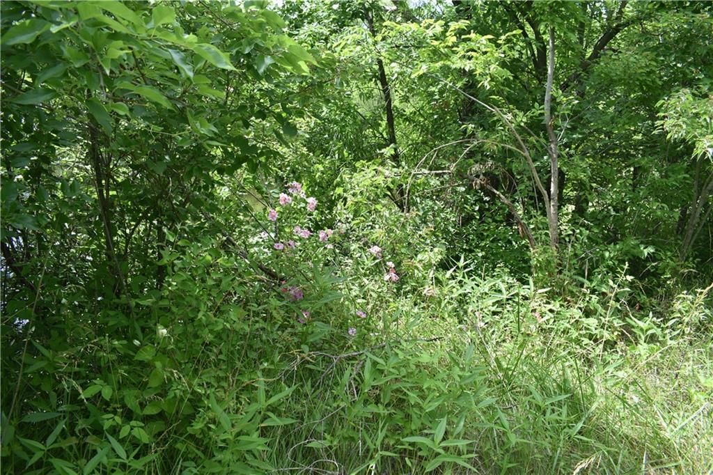 21570 Mclouth Road — photo 40