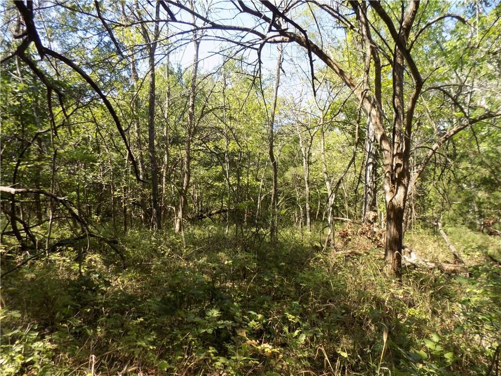 E 2000 Road — photo 15