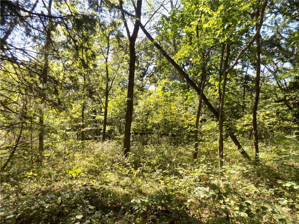 E 2000 Road — photo 16