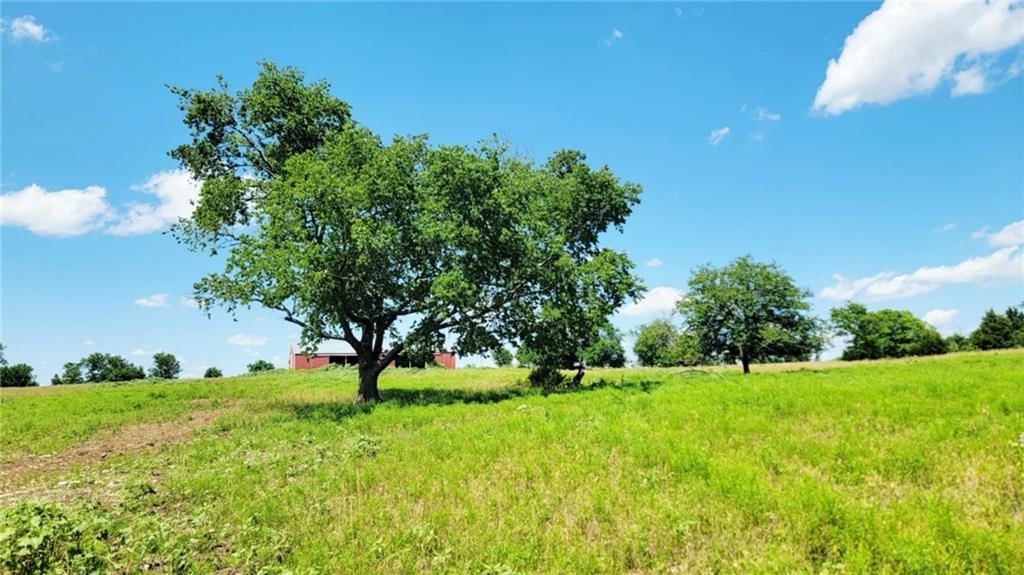 18400 Keitel Road — photo 36