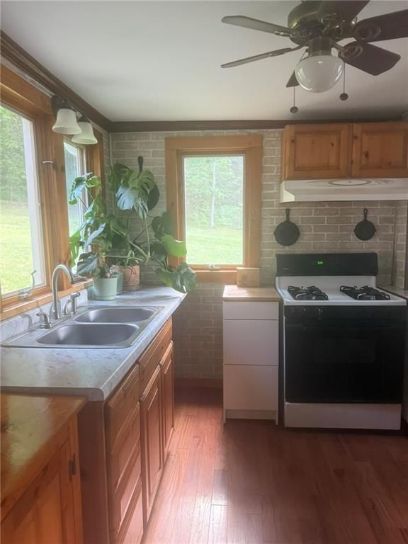 4608 Cloud Terrace — photo 8