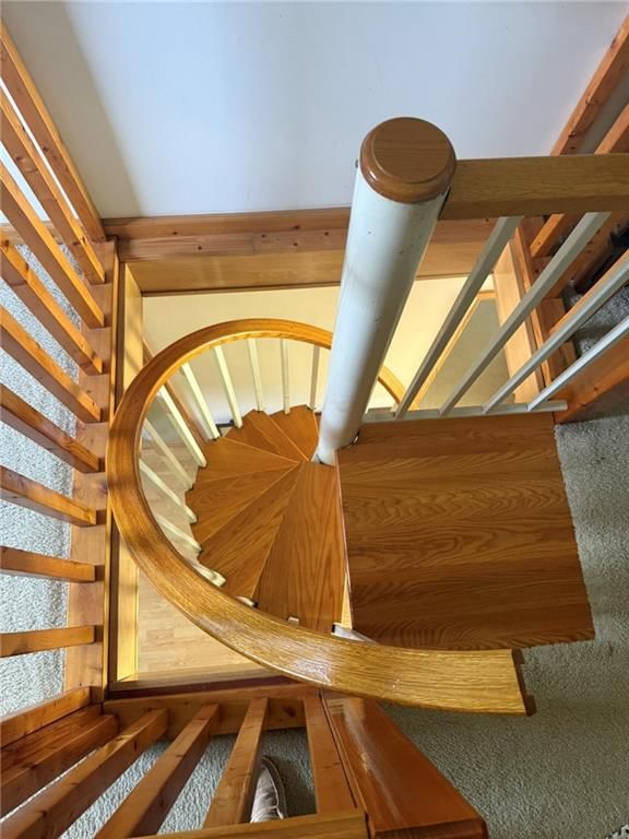 4608 Cloud Terrace — photo 33