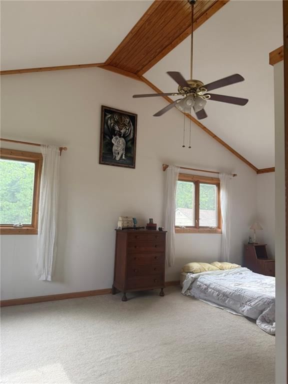 4608 Cloud Terrace — photo 35