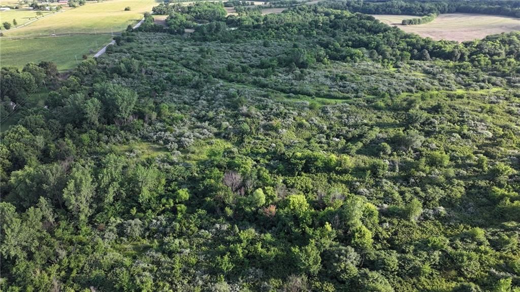 19702 County Rd C Highway — photo 3