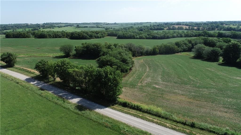 Cowsert Drive — photo 10