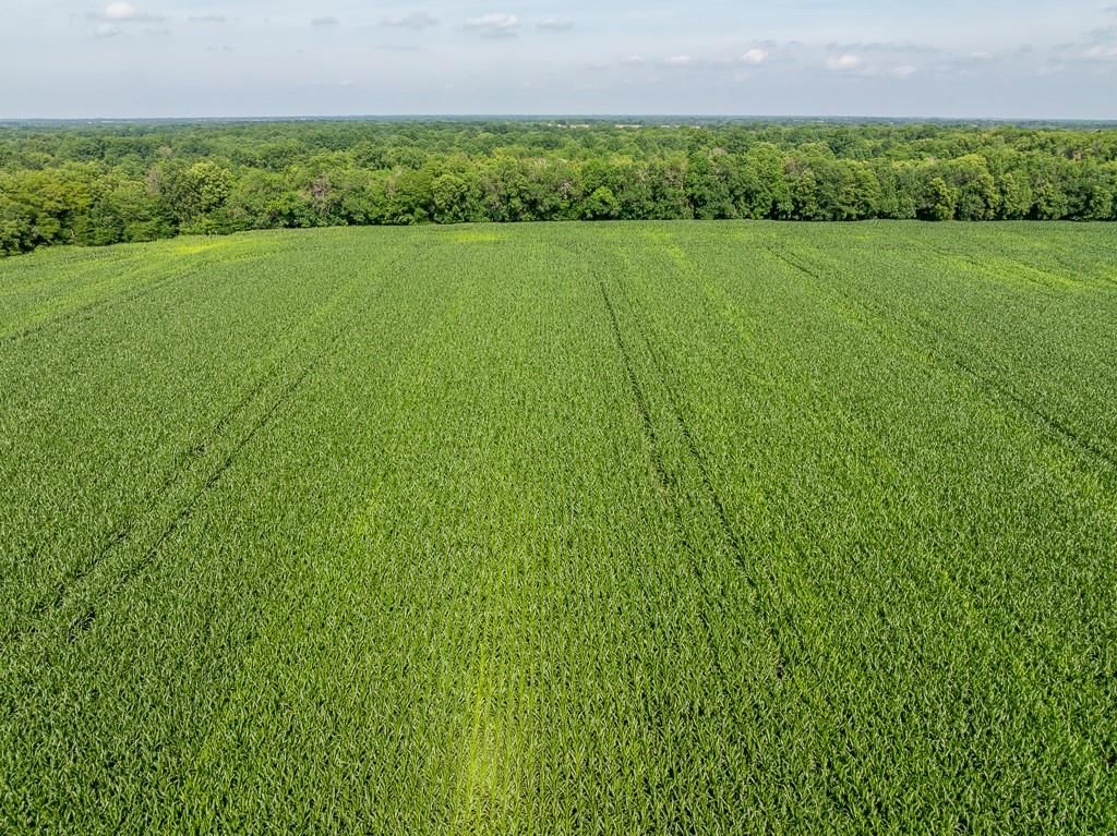S Staley Mound rd. Road — photo 17