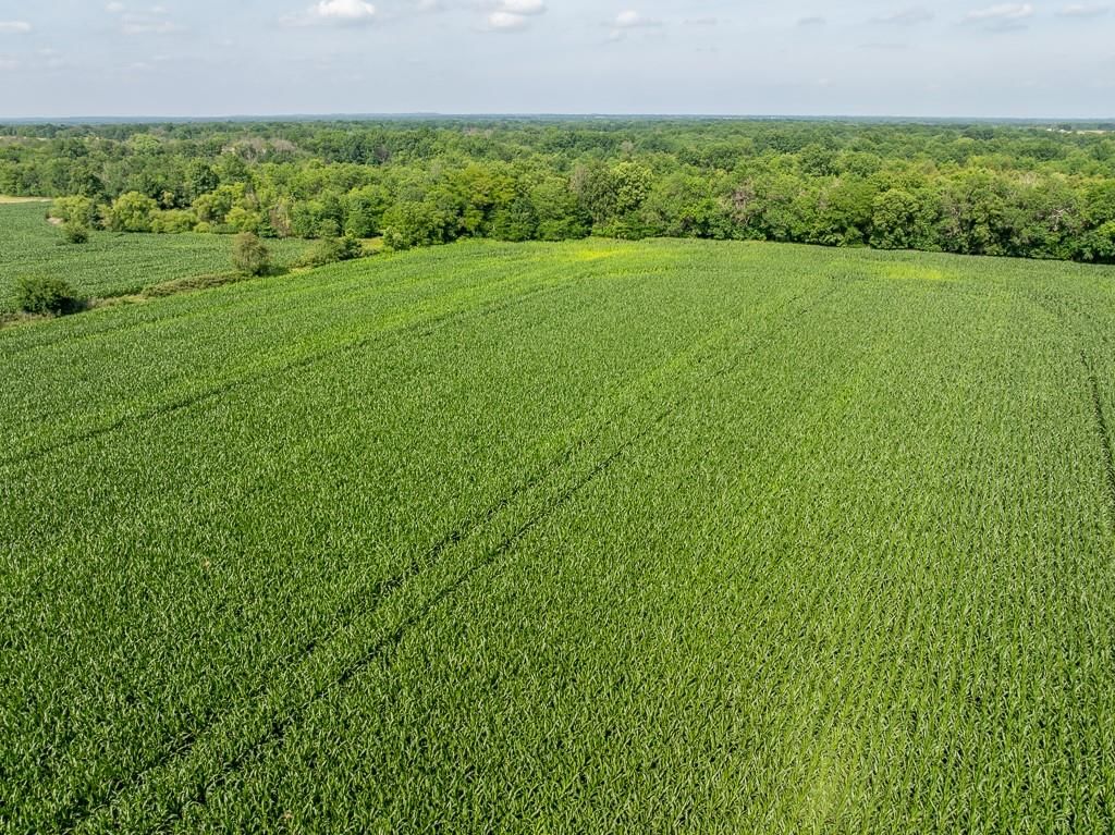 S Staley Mound rd. Road — photo 18