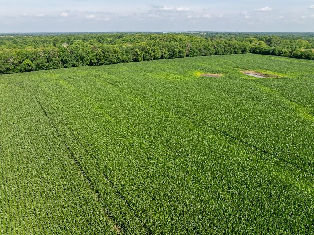 S Staley Mound rd. Road — photo 19