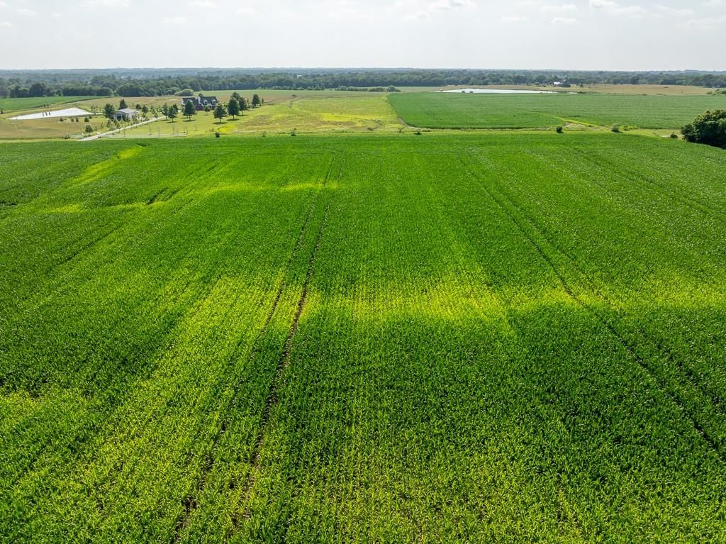 S Staley Mound rd. Road — photo 21