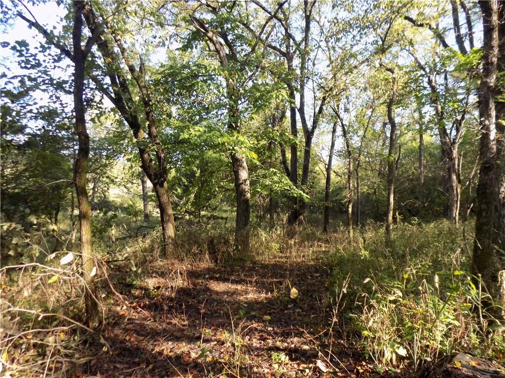 1392 Rock Creek Road — photo 7