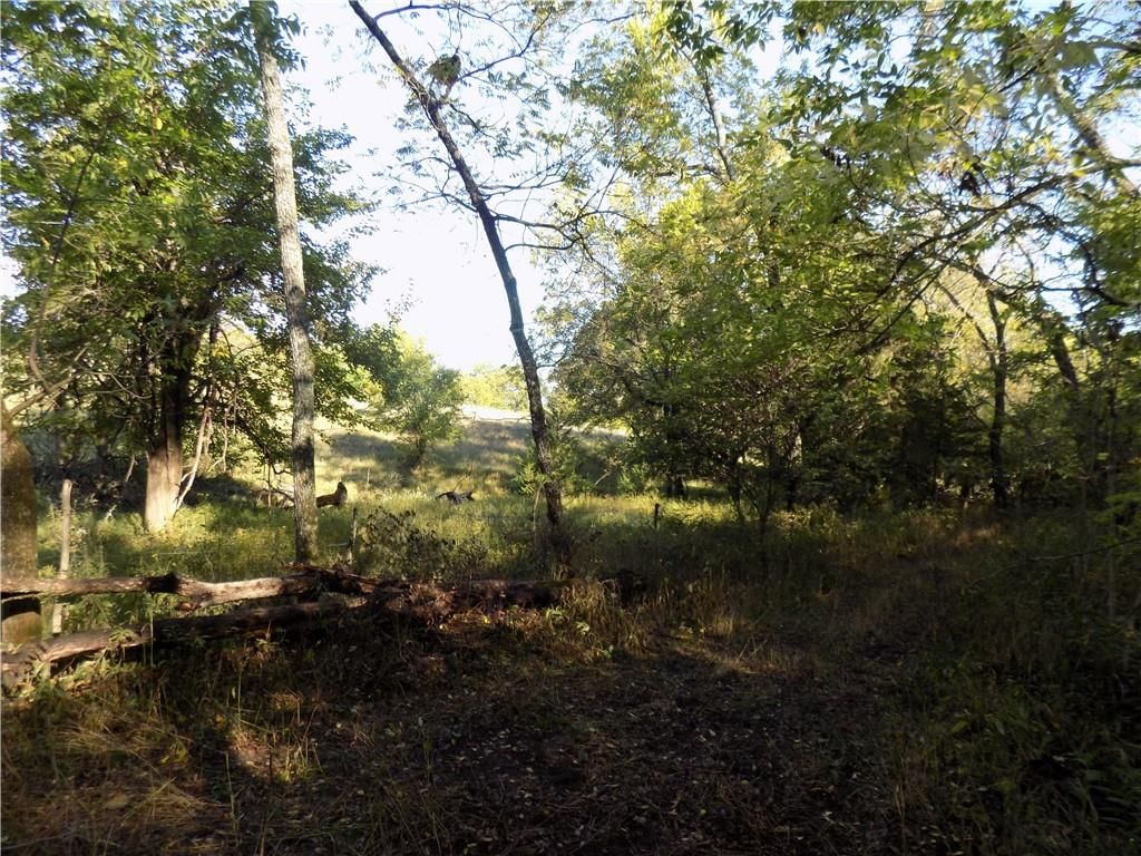 1392 Rock Creek Road — photo 9