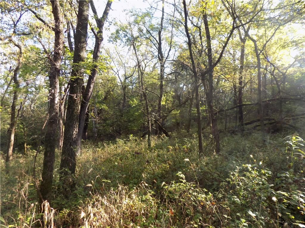 1392 Rock Creek Road — photo 10