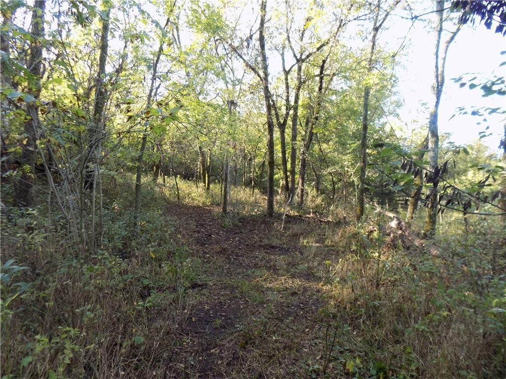 1392 Rock Creek Road — photo 12