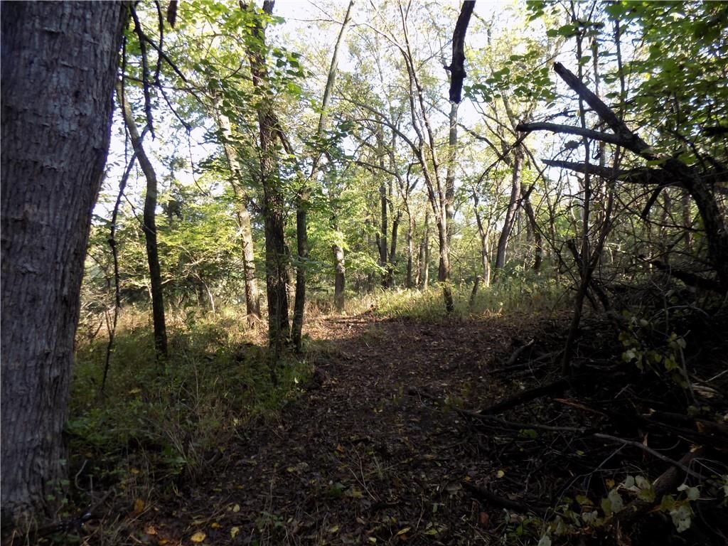 1392 Rock Creek Road — photo 13