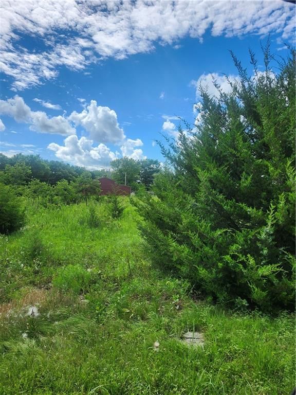 21 Shady Lane — photo 2