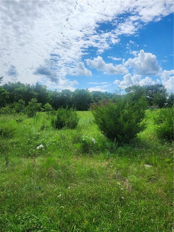 21 Shady Lane — photo 3
