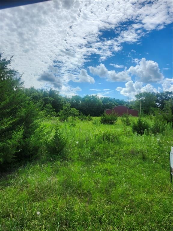 21 Shady Lane — photo 4