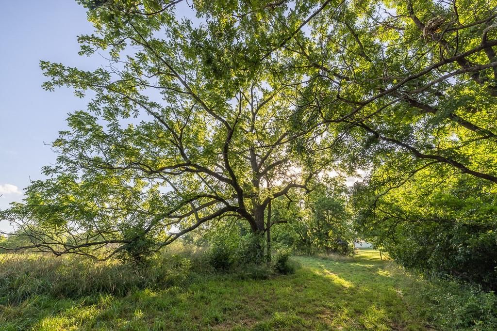 701 N Bly Road — photo 46
