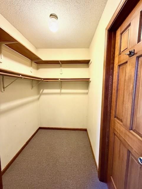224 Lake Viking Terrace — photo 16