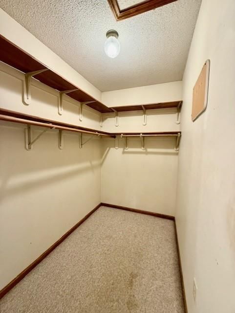 224 Lake Viking Terrace — photo 31
