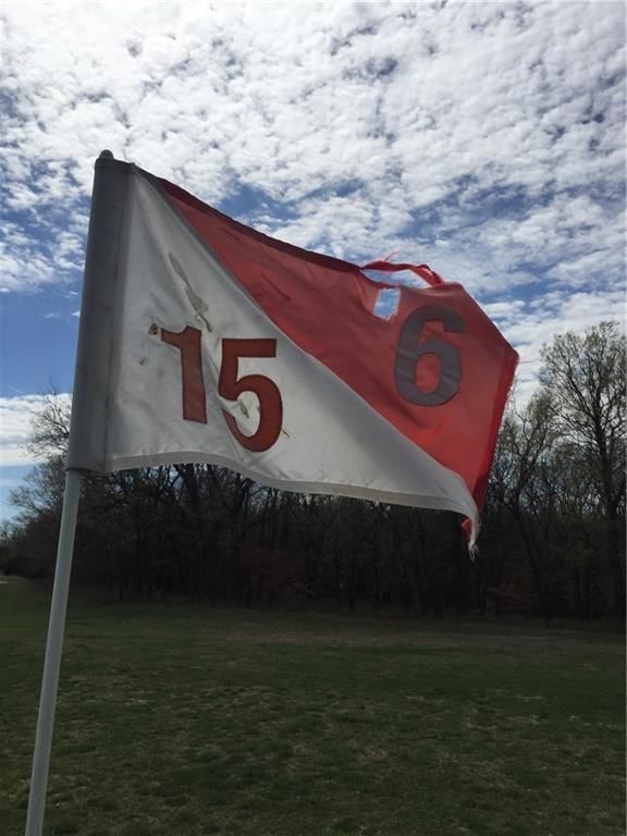 110 Golf Course Drive — photo 8