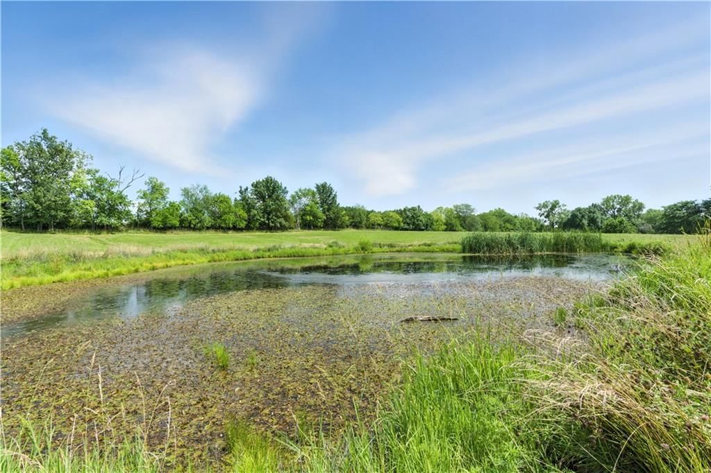 21753 Morrow Road — photo 48