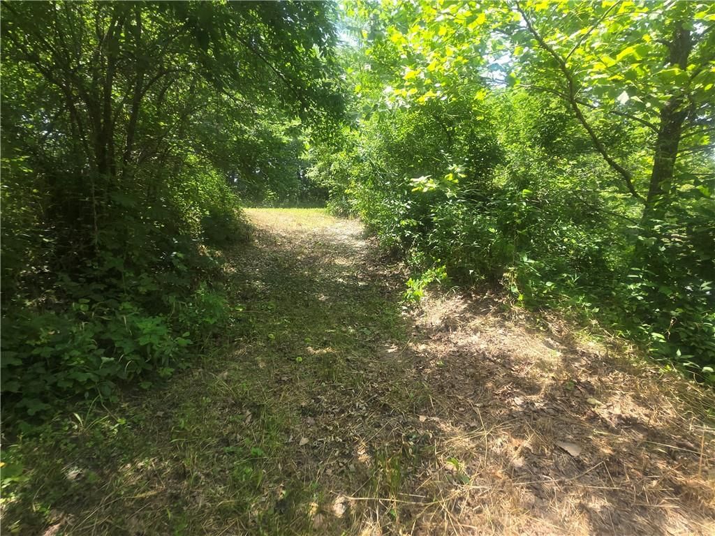 40000 E Gunn City Road — photo 56