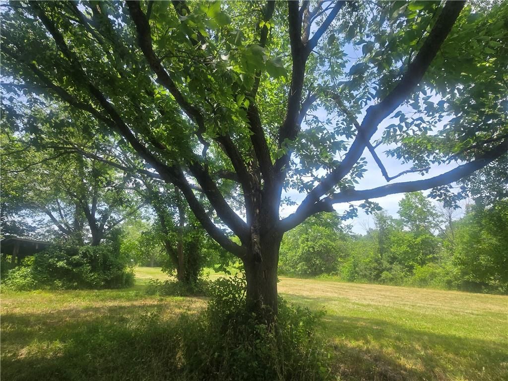 40000 E Gunn City Road — photo 58