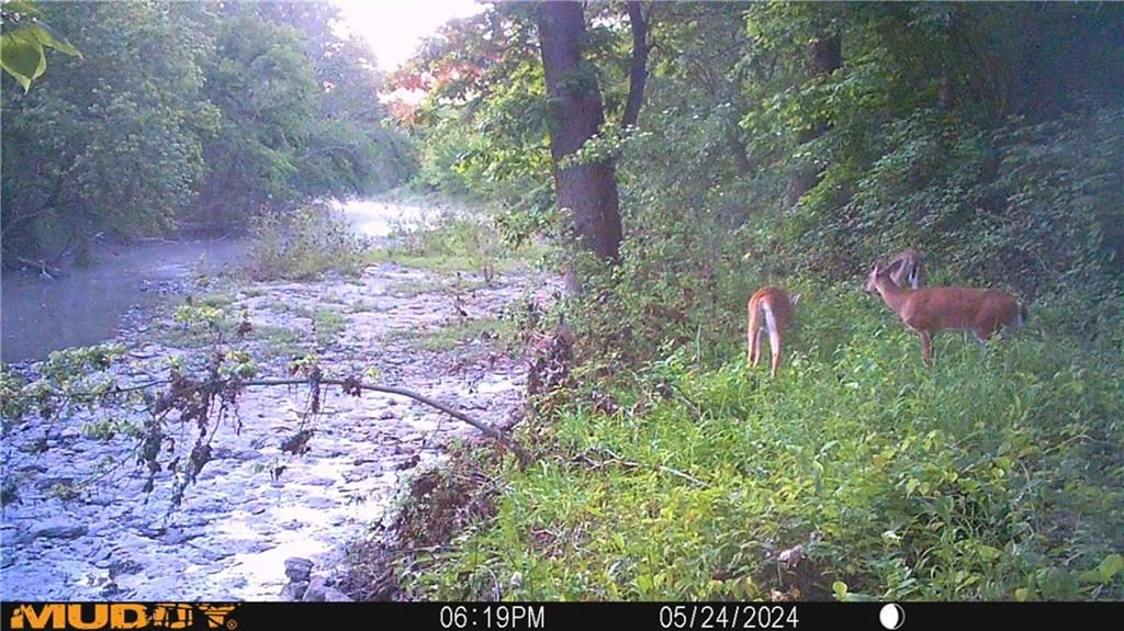 40000 E Gunn City Road — photo 71