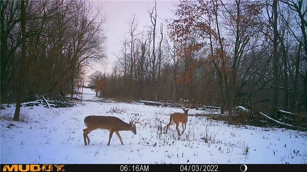 40000 E Gunn City Road — photo 72