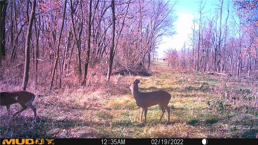 40000 E Gunn City Road — photo 73