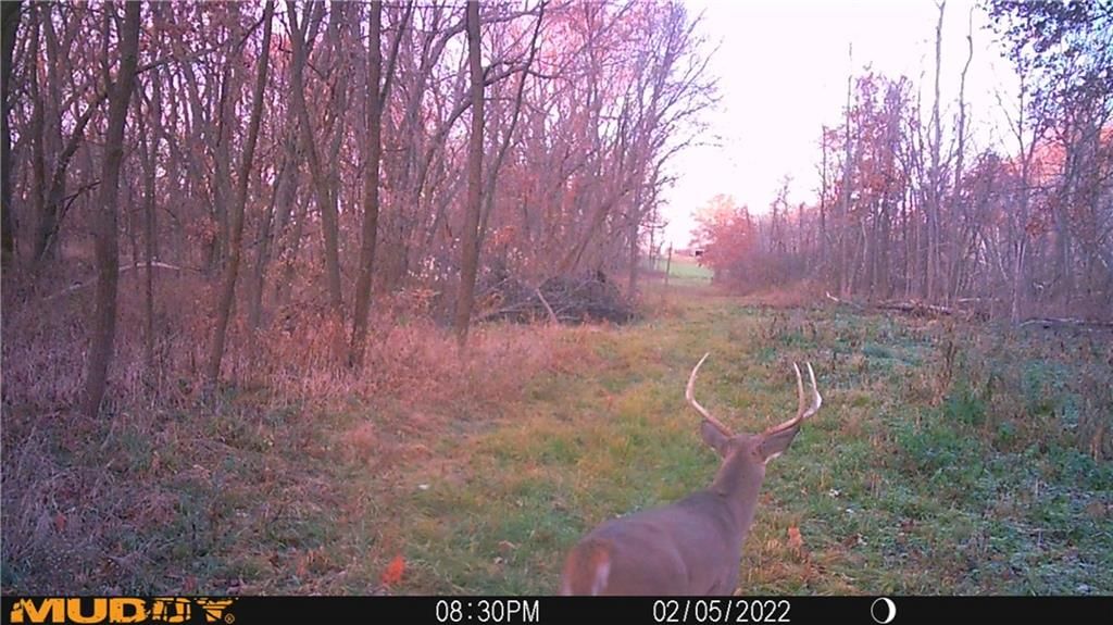40000 E Gunn City Road — photo 74