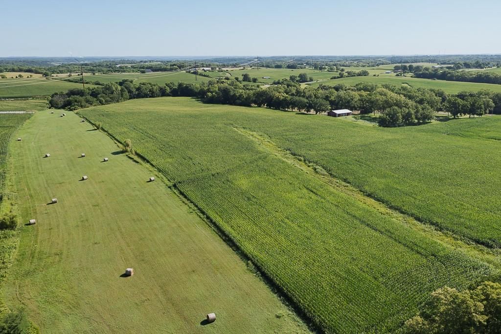 Photo 5 of 8 - 52 acres Springdale Road